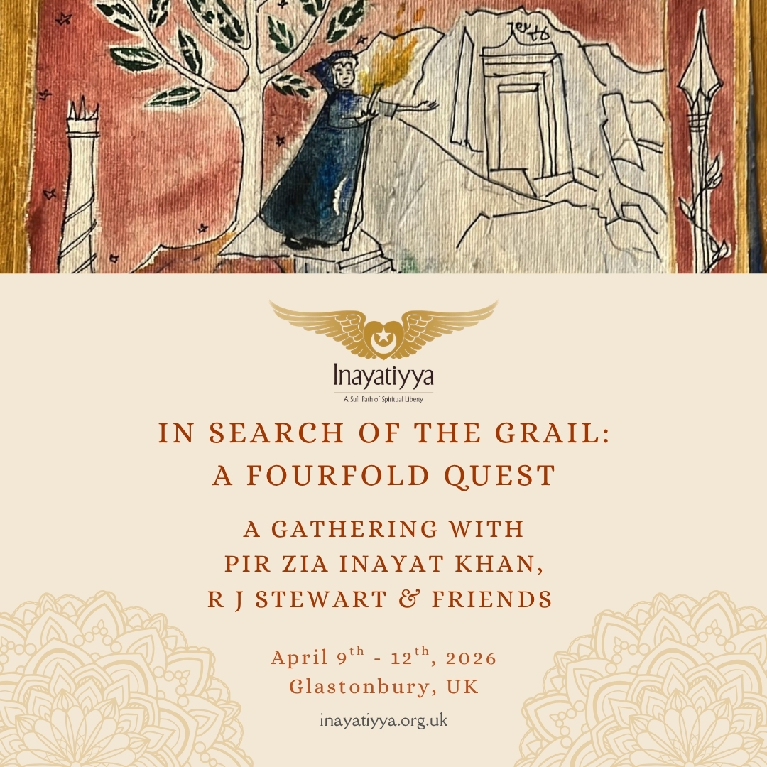 In Search of the Grail, 2026 - Video Recordings